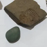 شهاب سنگ