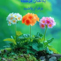 راهنمایی برای کار در منزل کنید