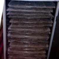 دستگاه میوه خشک کن صنعتی|سایر لوازم برقی|پلدختر, |دیوار