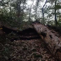 مسافر از آشخانه بجنورد به تهرانن جمعه قیمت توافقی