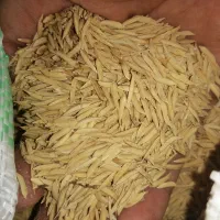 شالی فجر سوزنی 1کیسه