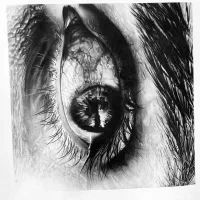 آموزش نقاشی سیاه قلم سبک هایپر رئال|خدمات آموزشی|کرج, شهرک اوج|دیوار