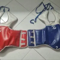 هوگو تکواندو