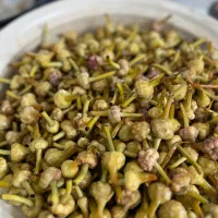 کارگر ساده