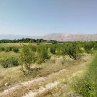 فروش زمین جهت احداث باغ|فروش دفتر صنعتی، کشاورزی، تجاری|کوار, |دیوار