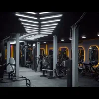 ادمین و مربی