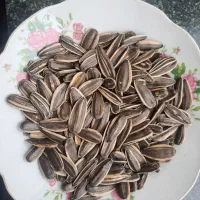 دو تن تخمه ی آفتابگردان کانادایی، درجه یک