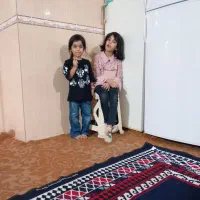 سلام ،خانه برای اجاره روزانه|اجارهٔ کوتاهمدت آپارتمان و سوئیت|دلوار, |دیوار