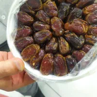 خرمای اهرم بوشهر