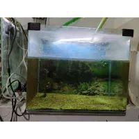 اکواریم|ماهی|تبریز, |دیوار