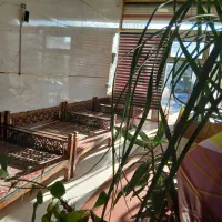 همکاری در رستوران