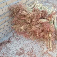 جارو دستی در الشتر|لوازم نظافت|فیروزآباد (لرستان), |دیوار