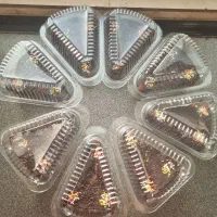 کیک خیس شکلاتی کافه ای|خوردنی و آشامیدنی|تهران, وصفنارد|دیوار