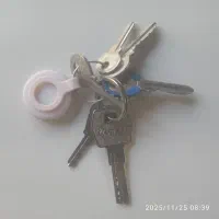 پیدا شده دسته کلید|اشیا|آران و بیدگل, |دیوار