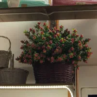 گل انار مصنوعی شب یلدا باکس خاص|گل مصنوعی|پردیس, فاز ۳|دیوار