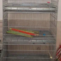 قفس غلامی سایز 75