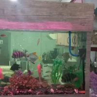 آکواریوم باتاج