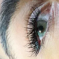 کاشت مژه و اموزش کاشت مژه به صورت تخصصی|خدمات آرایشگری و زیبایی|رشت, پستک|دیوار