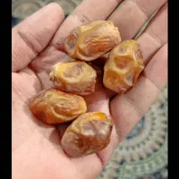 خرمای زاهدی ۱۴۰۵