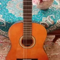 گیتار hofner hac 204