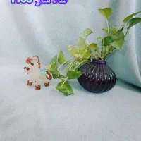 نماد سال 1405