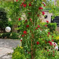 فروش-تجاری-یا-تهاتر-با-مسکونی