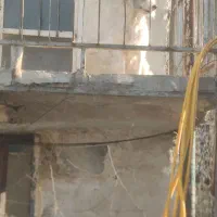 پودل ترییر ماده ۱۰ ماهه|سگ|باقرشهر, |دیوار