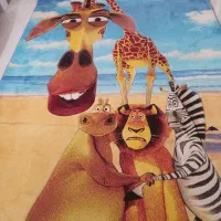 فانتزی ۶متری