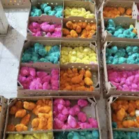 جوجه محلی ، کاکلی اردک و رنگی|حیوانات مزرعه|جم, |دیوار