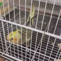 گمشده ساعت۳