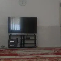 ال ای دی ۵۵ اینچ دوو در حد نو نو