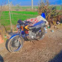 موتور ۲۵۰ مدارک کامل|موتورسیکلت|علی‌آباد کتول, |دیوار