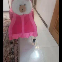 گهواره صورتی|کالسکه و لوازم جانبی|اصفهان, آزادان|دیوار