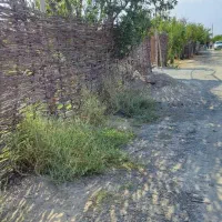 ۴۵۰ متر باغچه تنکمان شهرک کمال|فروش زمین و ملک کلنگی|تنکمان, |دیوار