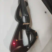 ویالون الکتریک فیش درشت