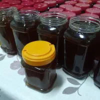 عسل طبیعی اردبیل|خوردنی و آشامیدنی|تهران, گمرک|دیوار