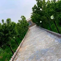 1700متر باغ آماده کرده