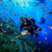 غواصی اختصاصی همراه با مربی عکس و ترانسفر