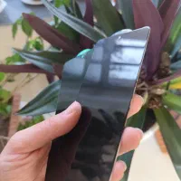 گلس پرایوسی