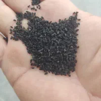سیاهدانه|خوردنی و آشامیدنی|شیراز, سیلو|دیوار