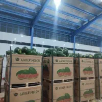 باکس پالت هندوانه مخصوص صادرات چوب و کارتن