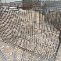 قفس|لوازم جانبی حیوانات|ایلام, |دیوار