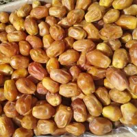 خرما زاهدی.خرما کبکاب|خوردنی و آشامیدنی|پاکدشت, پاکدشت (مامازند)|دیوار