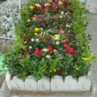 خدمات باغبانی سمپاشی هرسکاری سم سوسک سراسر تهران|خدمات باغبانی و درختکاری|تهران, تجریش|دیوار