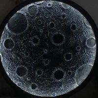 ماه نورانی یا مون لایت