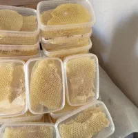 عسل|خوردنی و آشامیدنی|اسفراین, |دیوار