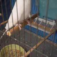 جهت معاوضه