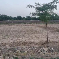 ۷۰۰ متر زمین با سند تک برگ داخل کمالشهر