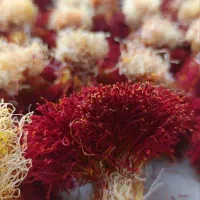 فروش زعفران محلی اصل قائنات