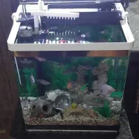 فروش آکواریوم همراه با ماهی و میز و سایر وسایل